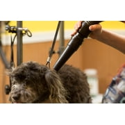 Metropolitan Vacuum Cleaner B-3 Air Force Blaster 4.0 Php - Hair Dryer and Blower for Pet Grooming