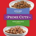 (12 Pack) Purina ALPO Gravy Wet Dog Food Variety Pack, Prime Cuts With Beef & With Lamb & Rice