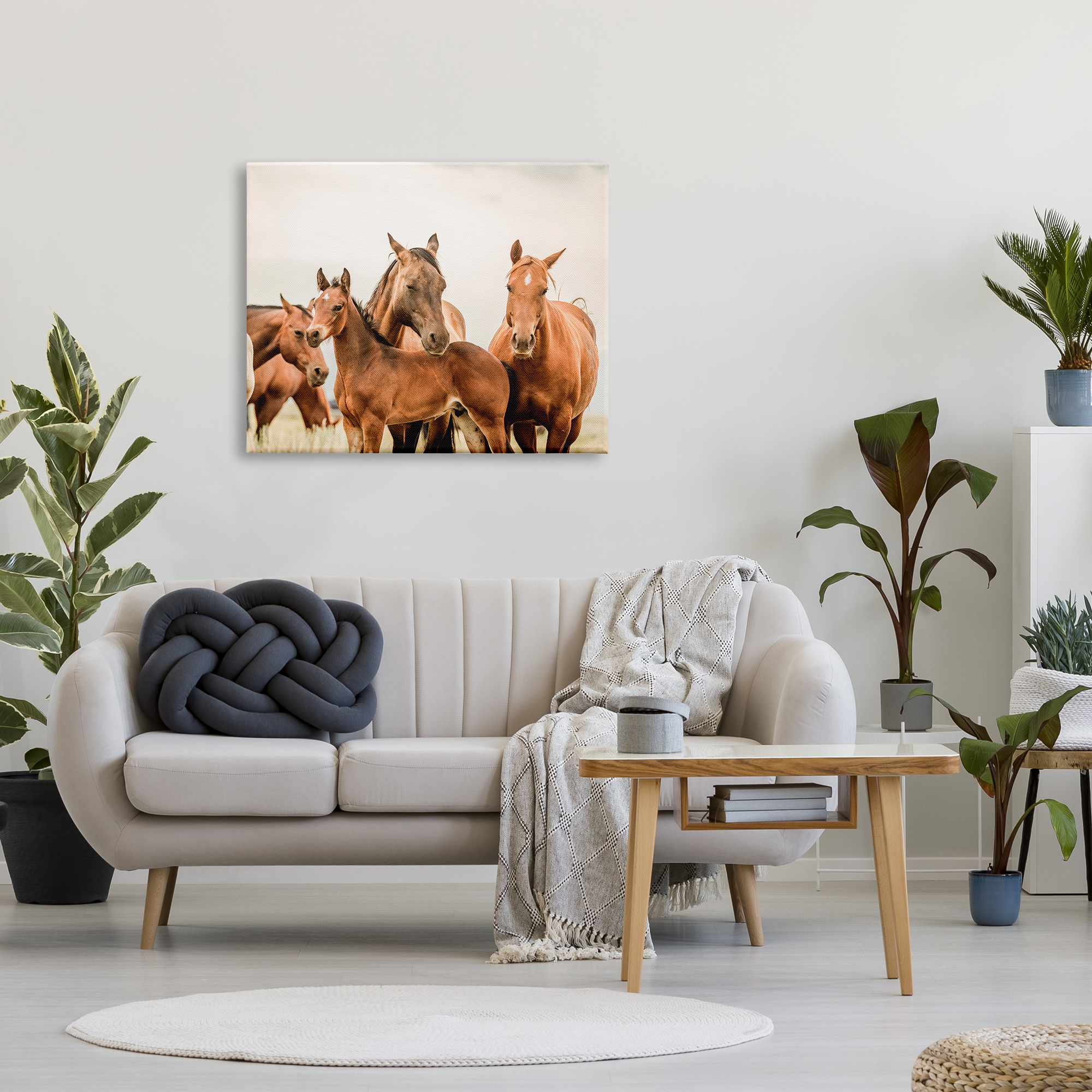 Stupell Industries Horse & Foals Photography Animals & Insects Photography Gallery Wrapped Canvas Art Print Wall Art, 40 x 30