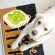 thumbnail image 5 of tazón para mascotas tazón de comida para mascotas tazón creativo de comida lenta para perros tazón de comida lenta anti asfixia MFZFUKR CPB-DE-SSW2288-6, 5 of 5
