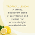thumbnail image 6 of Citrus Magic Odor Eliminating Air Freshener Spray, Tropical Lemon, 3-Ounce, Pack of 3, 6 of 10