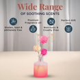 thumbnail image 2 of Folkulture Reed Diffuser or Aroma Diffusers | 150 ml Oil Diffuser for Home or Bathroom Accessories Set | Aromatherapy Diffusers with Sticks | Oil Diifusers with Diffuser Sticks | (Cherry Blossom), 2 of 7