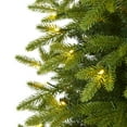 thumbnail image 5 of Nearly Natural Clear Prelit LED Green Holiday Fir Christmas Tree, 6', 5 of 8
