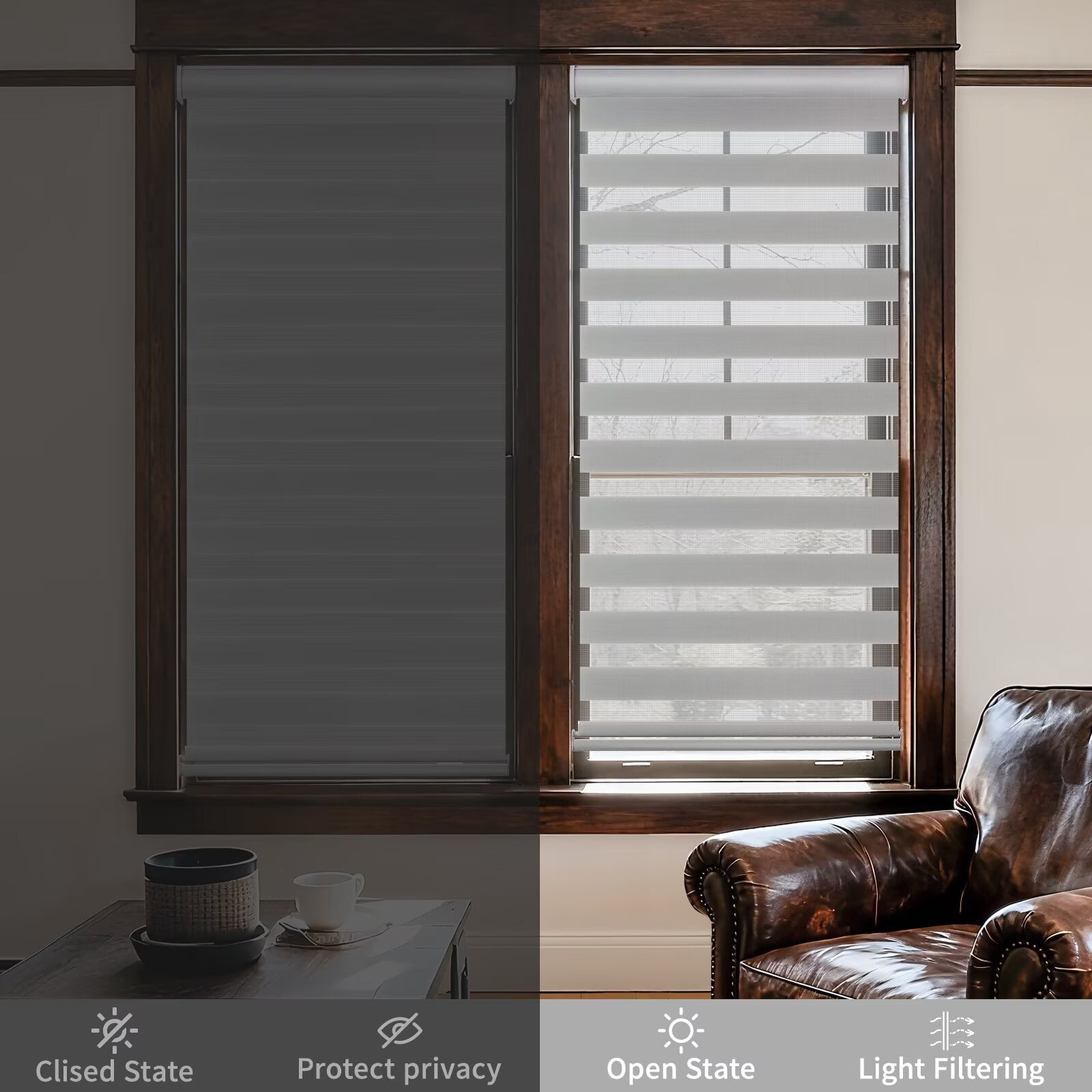 MYshade Cordless Zebra Blinds Gray-27"W*64"H Pull Down Roller Window Shades Double Layer Light Control Free Stop Window Shades Day and Night Blinds Easy Installation for Home