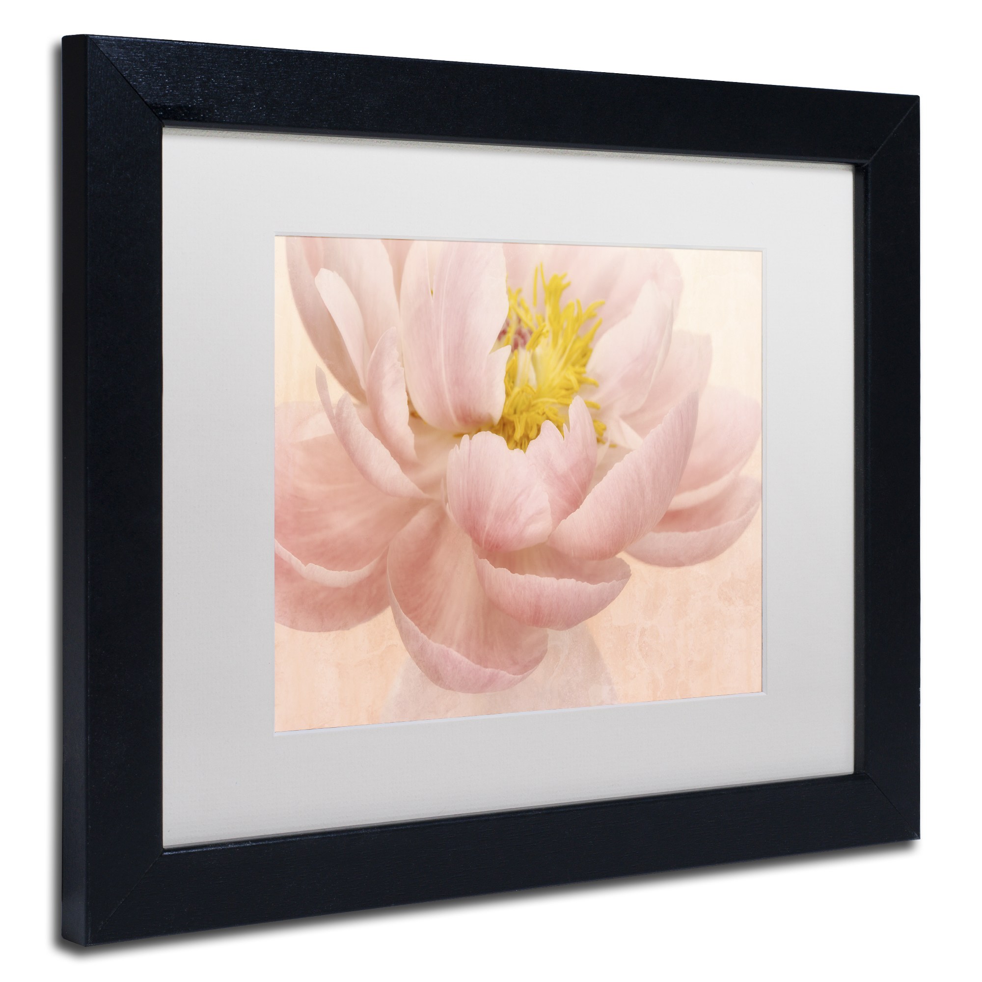 Trademark Fine Art 'Pink Peony' Canvas Art by Cora Niele, White Matte, Wood Frame