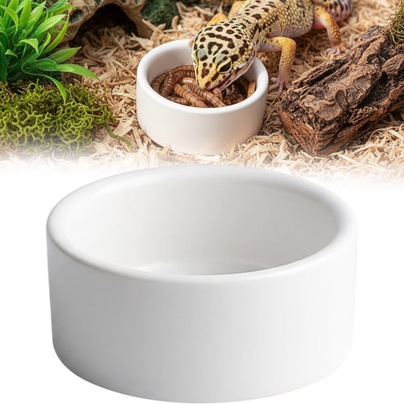 Reptile Food Dish Bowl, Worm Water Dish Small Lizard Gecko Ceramic Pet Bowl, Mealworms Bowls for Leopard Bearded Dragon Chameleon Hermit Crab Dubia Cricket Anti-Escape Superworm Feeder