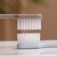 thumbnail image 3 of YAOMOBB Tooth Brushes Soft Bristles Toothbrush Set Comfortable Grip for Food Grade Dental Care, 3 of 7
