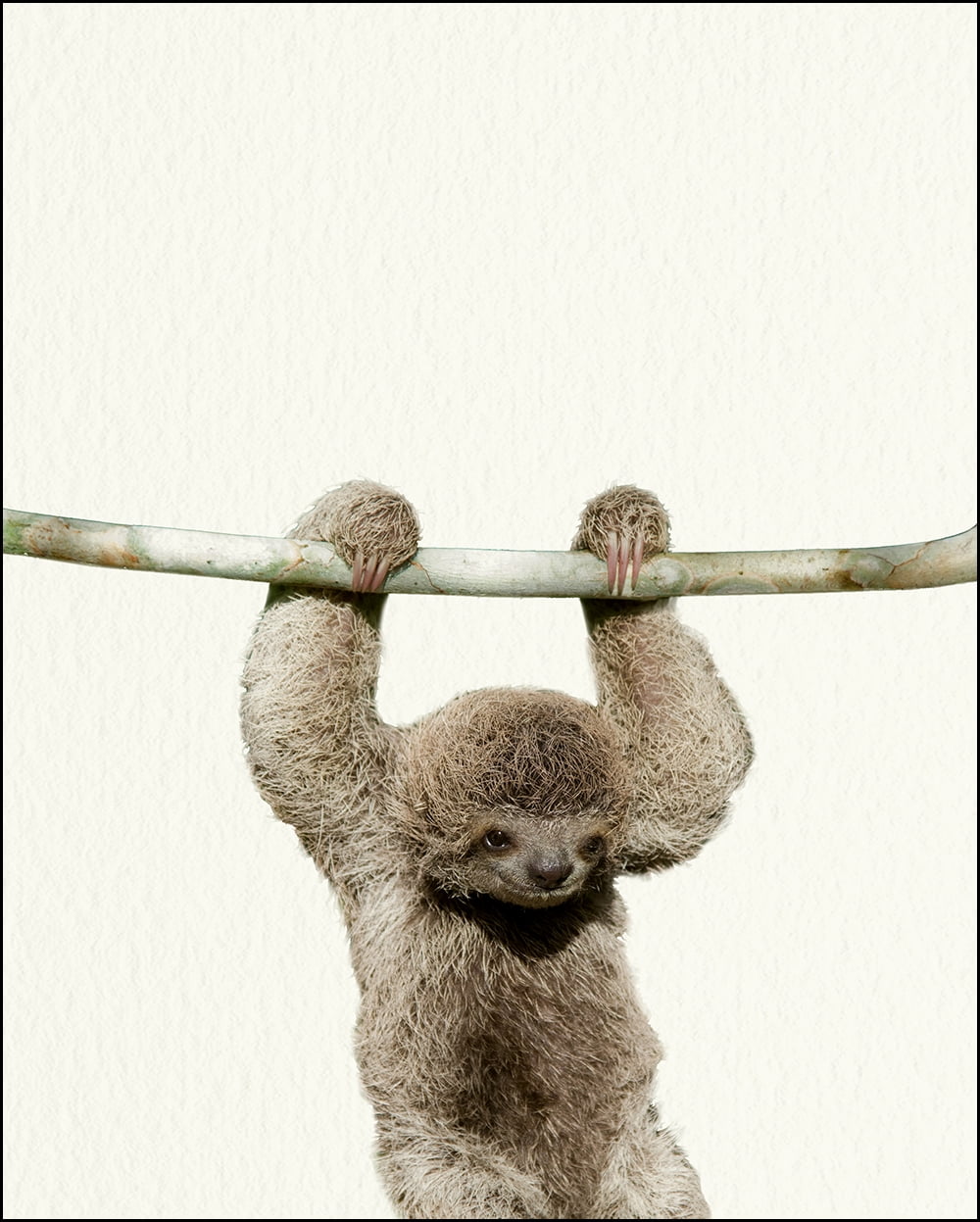 sloth nursery decor