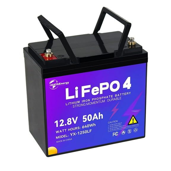 12V 50Ah LiFePO4 Lithium Battery Pack for Deep Cycle RV Solar System 50A BMS