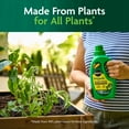 thumbnail image 4 of Miracle-Gro Organic Plant Food, Made from Plants for All Plants, OMRI Listed, 32 Fl oz, 4 of 8