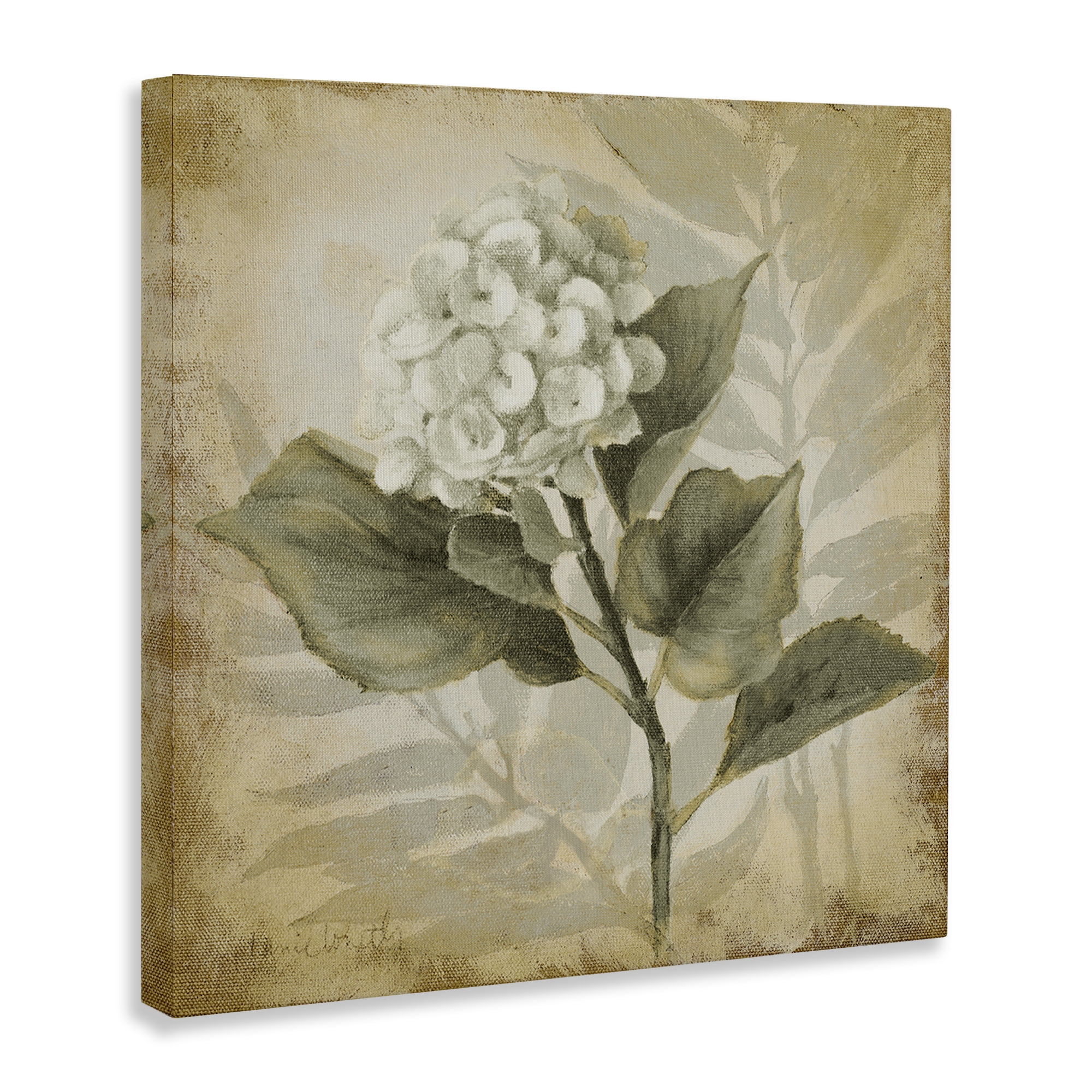 Stupell Industries Aubergine Hydrangea Impression Plants & Flowers Painting Wrapped Canvas Art Print Wall Art, 24 x 24