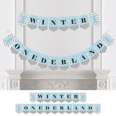 Onederland Holiday Snowflake Winter Wonderland Birthday Party