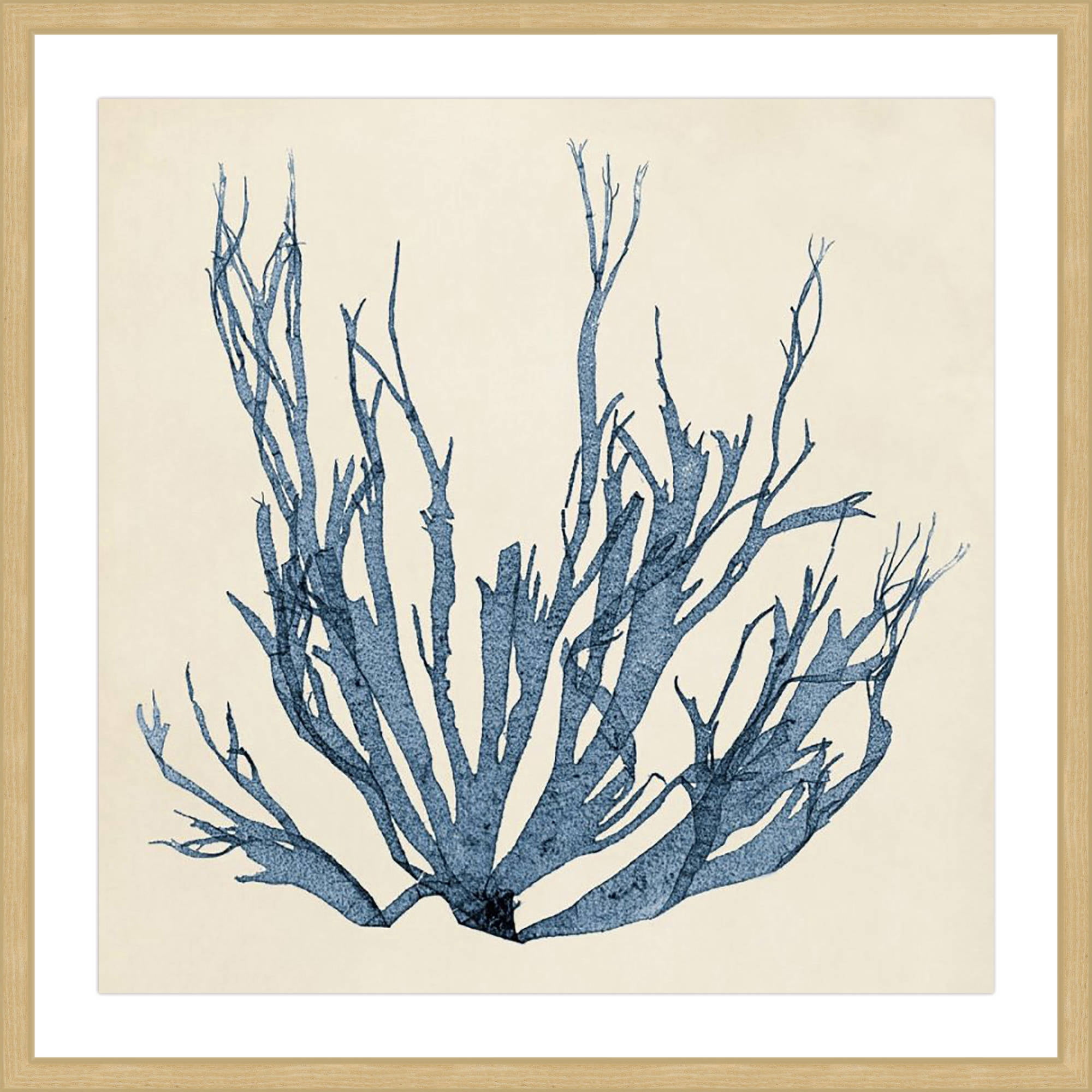 Marmont Hill Coastal Seaweed I Framed Wall Art