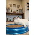 thumbnail image 4 of Bergan Turbo Scratcher Cat Toy Assorted, 4 of 4