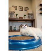 Bergan Turbo Scratcher Cat Toy Assorted