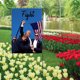 thumbnail image 5 of Divertida Trump para Exteriores 2024 A La Decoloración Elecciones en El Exterior, 5 of 9