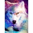 thumbnail image 1 of Diamante (DE5836) 5D DIY Snow Wolf cuadrado mosaico arte imagen de diamantes de imitación 20X30cm FLhrweasw Nuevo, 1 of 1