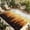 Dark Orange, variant on Indoor Outdoor Area Rugs,Forest Tree Gradient Black Shadow Washable Patio Rug Non-slip Quick Dry Camping Rugs,Ombre Retro Linen Floor Carpet for Porch Deck Backyard RV Decor,4x6ft
