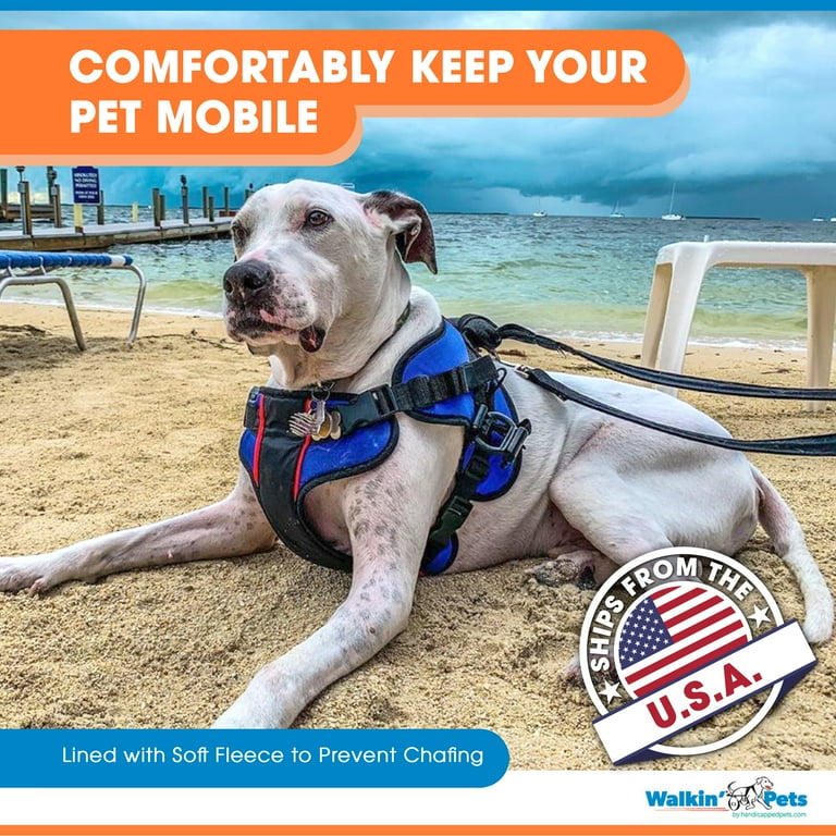 Handicappedpets rear lift 2025 combo dog harness