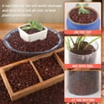 thumbnail image 4 of NOGIS 0.77lb Red Horticultural Lava Rocks for Plants, Succulents Cactus Bonsai Soil Volcanic Rocks for Aquarium Outdoor Decorative Stones for Craft Projects, Vase Fillers, 3mm-6mm, 4 of 6