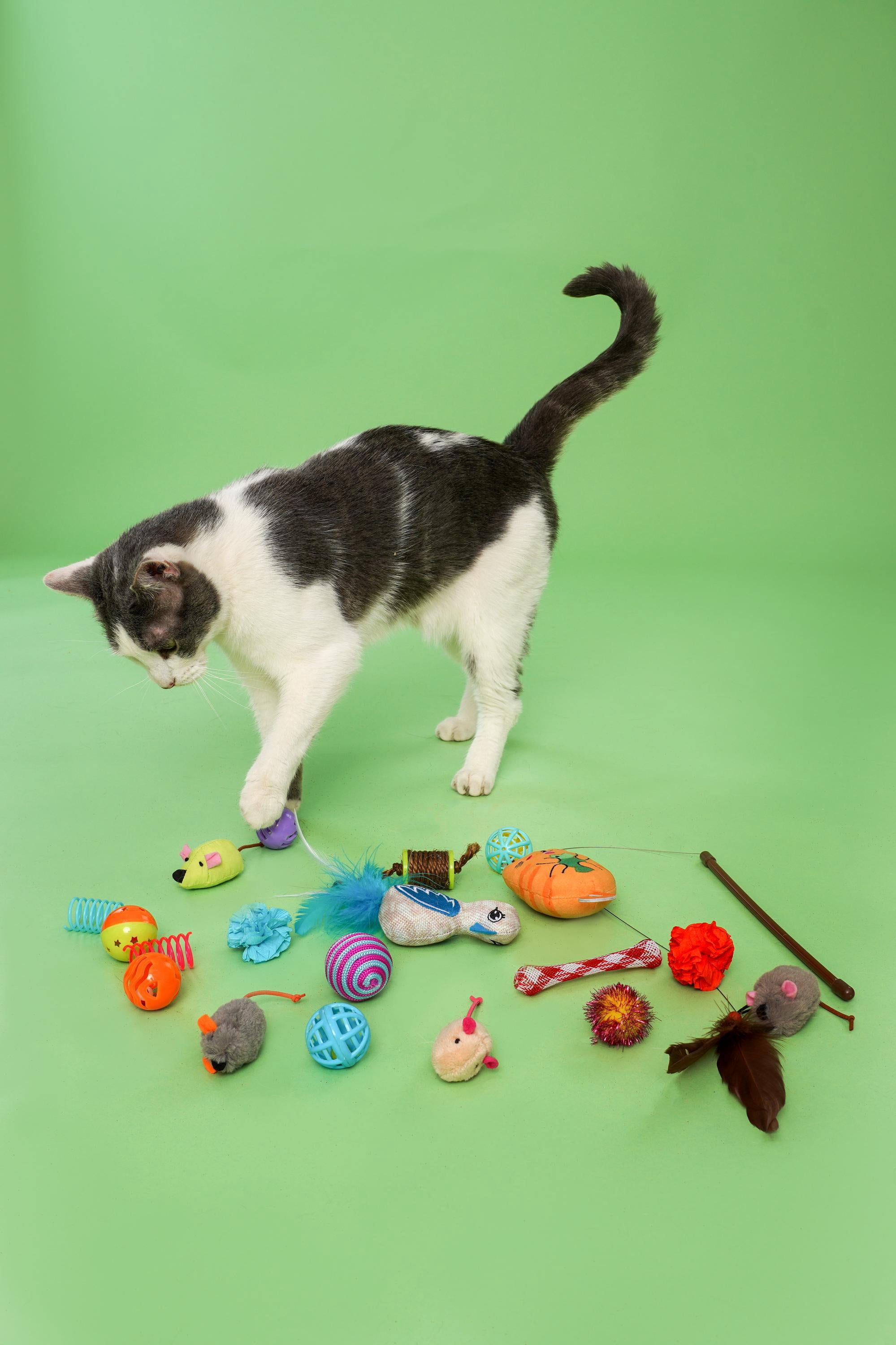 Hartz Cattraction Cat Toy Variety Pack with Silver Vine & Catnip, 20 Count