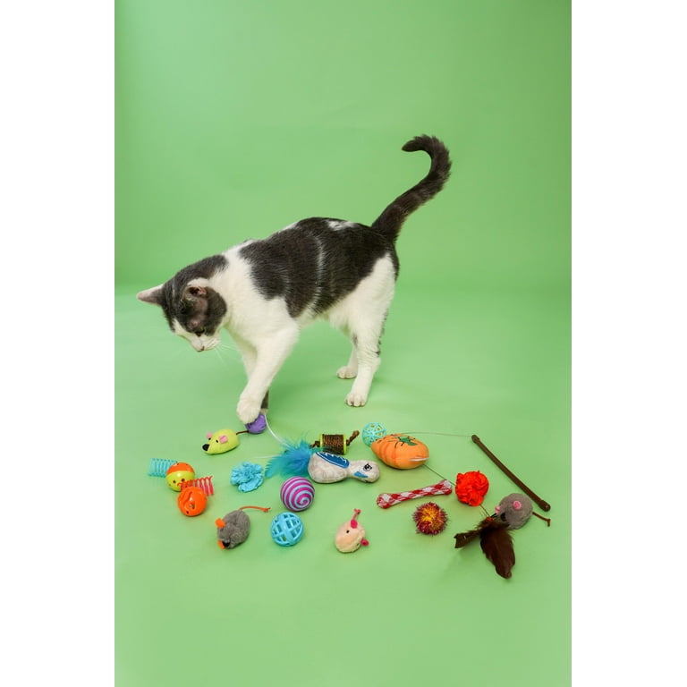 Hartz Cattraction Cat Toy Variety Pack with Silver Vine & Catnip