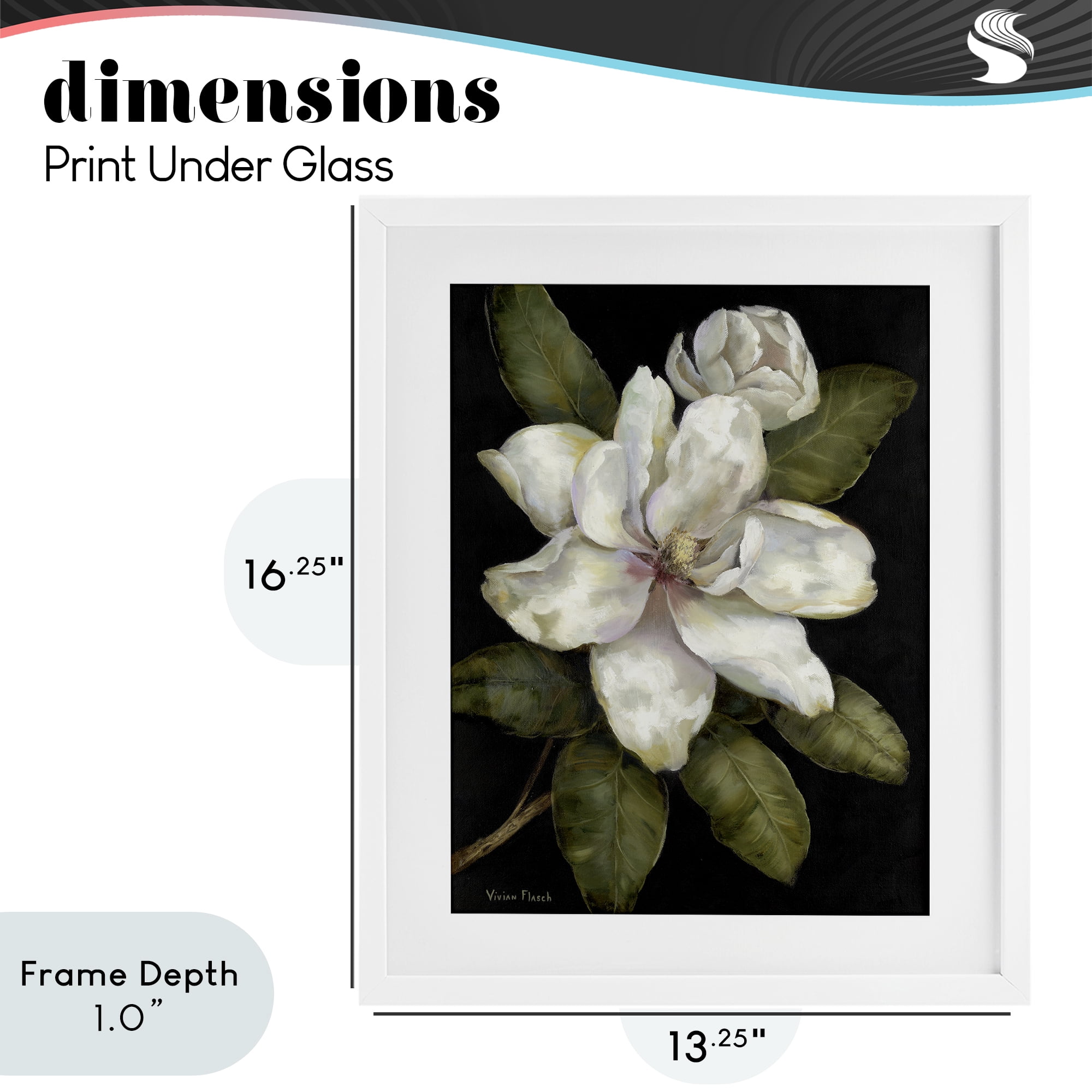 Stupell Industries Budding Magnolia Blooms White Framed Print Under Glass, design by Nan
