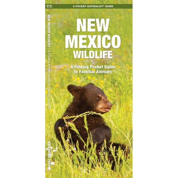 Pocket Naturalist Guides: New Mexico Wildlife: A Folding Pocket Guide to Familiar Species (Paperback)