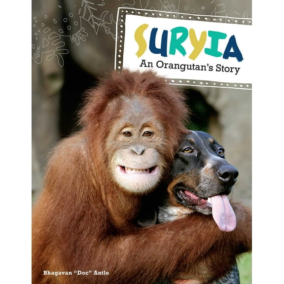 Suryia : An Orangutan's Story (Hardcover)