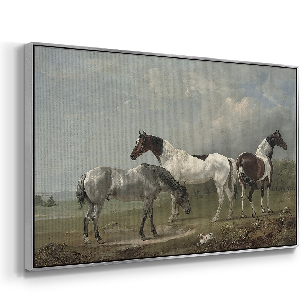 Vintage Animal Print-XX By Wexford Home Framed in Silver Wood Gallery Wrapped Canvas 17 in. x 25 in.