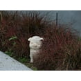 thumbnail image 5 of Serene Oinker Classic Curled Sitting Pig Statue, 5 of 13