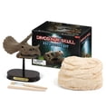 thumbnail image 4 of Dinosaur Skeleton Model Kit Plastic Dinosaur Dig Kit Dinosaur Fossil Kit for Kid, 4 of 10