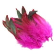 thumbnail image 6 of S SERENABLE 50 Pieces Feathers for Crafts Decor Durable Soft Portable Handicraft Accessories for Party Hats Wedding Arrangements Costumes Rose Red, 6 of 8