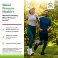 thumbnail image 3 of Terry Naturally Blood Pressure Health - 60 Vegan Capsules - Promotes Healthy Circulation & Blood Pressure Levels, Supports Smooth, Flexible Arteries - Non-GMO, Gluten-Free - 60 Servings, 3 of 7