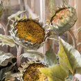 thumbnail image 5 of The Restoration Rustic Sunflower Stem, 5 of 9