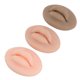 thumbnail image 4 of D Labios de práctica falsos, 3 piezas Labios de práctica de tatuaje Microblading Práctica de labios Entrenamiento D Entrenamiento Tatuaje Práctica de labios Construcción robusta, 4 of 8