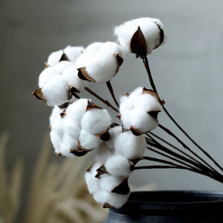 Cotton simulation single kapok bouquet dried flower home decoration photo props Flower arrangement accessories 10 PCs/handle - white