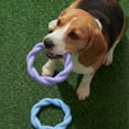 thumbnail image 6 of Oodles 2-Piece Durable Rubber Twisted Ring Dog Toy Variety pack, Purple and Blue, One Size, 6 of 9