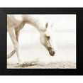 thumbnail image 2 of Brooks, Kari 14x12 Black Modern Framed Museum Art Print Titled - Trail Horse Sepia, 2 of 5