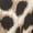 Coffee Brown, variant on Women Long Sleeve Button Down Shirts for Women, Leopard Print Collared Blouses for Office Daily