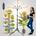 thumbnail image 3 of 45W 5Head Tripod Stand Tall Plant Light, 2025 Grow Lights for Indoor Plants with Stand for Bonsai Tree, Big Plants, Full Spectrum Growing Lamp 4,8,12 Hr Timer, 3 of 5