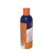 Elmer's Craft Bond Multi-Purpose Spray Adhesive, 11 oz, 1 Count
