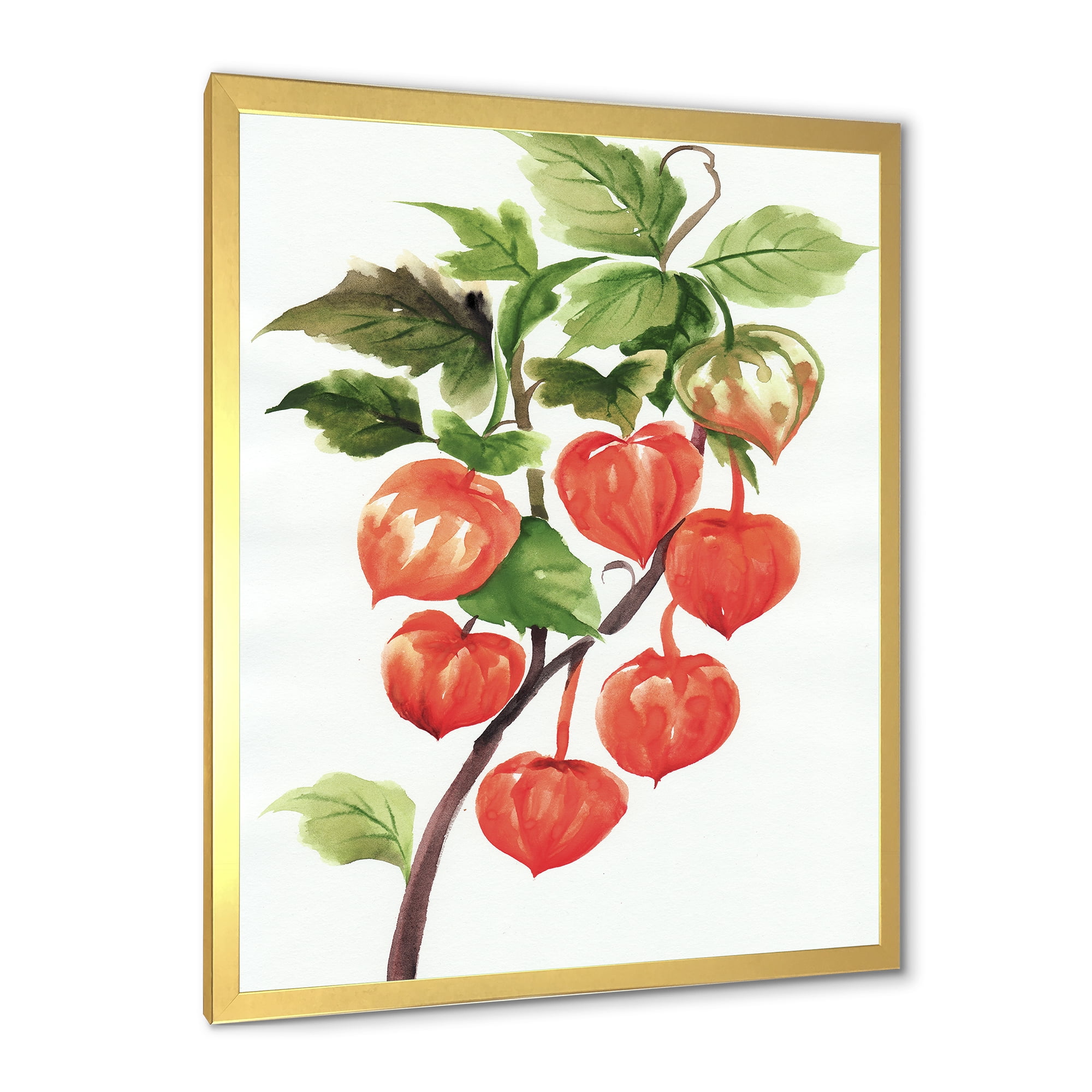 Designart 'A Red Physalis Branch' Traditional Framed Art Print