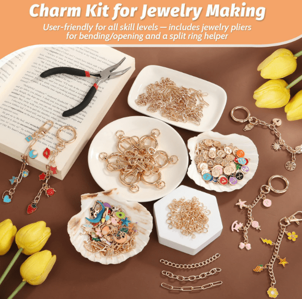 500pcs Lipgloss Keychain Making Kit, Including Key Clips, Lobster Claw Keychains, Extension Chains, Jewelry Pliers and Bag Charm kit(wwx)