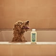 thumbnail image 7 of Mrs. Meyer's Clean Day 3 in 1 Dog Shampoo, Sweet Chamomile Scent, 14oz, 7 of 7