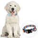 thumbnail image 5 of Juego de collar y correa para perro, estampado clásico a cuadros, collar de nailon ajustable,, 5 of 5