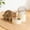 Beige, variant on TYShandao Automatic Cat Water Fountain