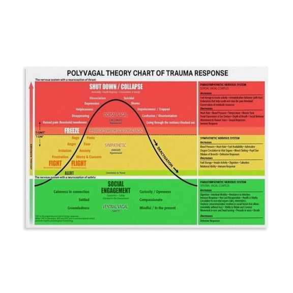 Polyvagal Theory Chart Trauma Response Poster (2) Canvas Print Aesthetic Decor Bedroom Bathroom Preppy Dorm Home Posters Garage Decor