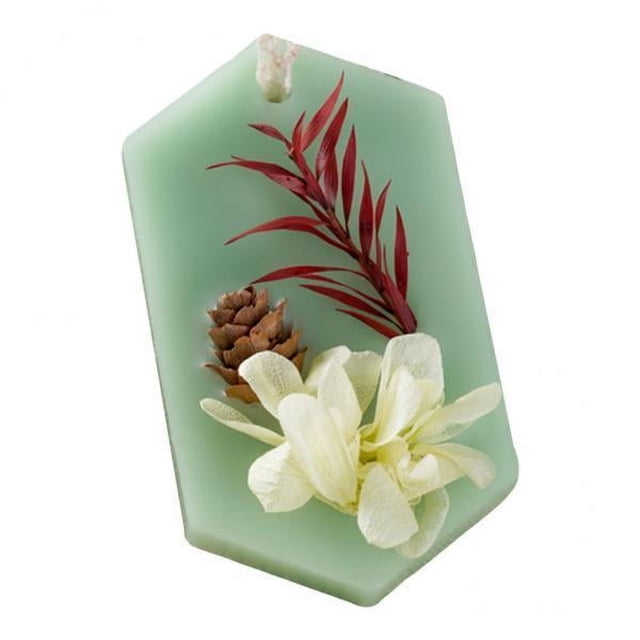 3xdesodorante Perfumado Para Colgar, Ambientador, Armario, Coche, , Tableta, Verde