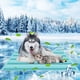 thumbnail image 1 of Cojín de Gel Refrigerante para Mascotas, Ideal para El Verano. Cojín Refrescante para Perros y Gatos. Cojín Frío para Dormir, Impermeable, 200 Ml., 1 of 6
